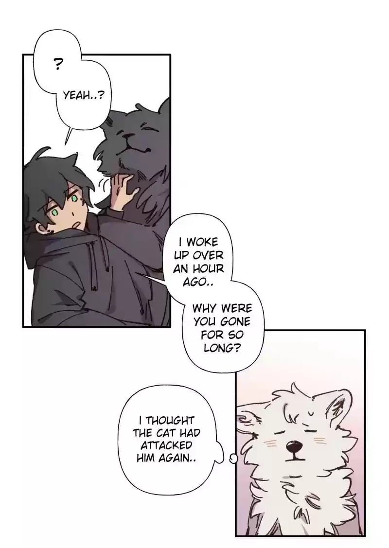 Read LUMINE Manga Online