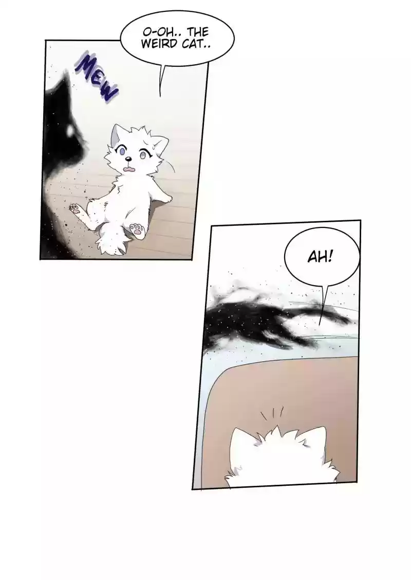 Read LUMINE Manga Online