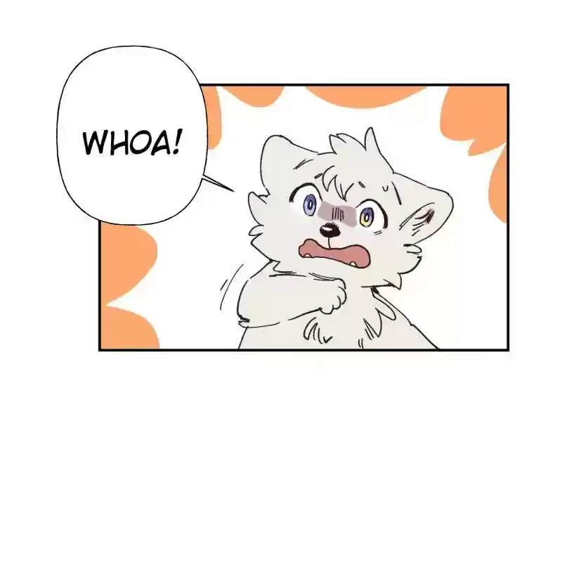 Read LUMINE Manga Online
