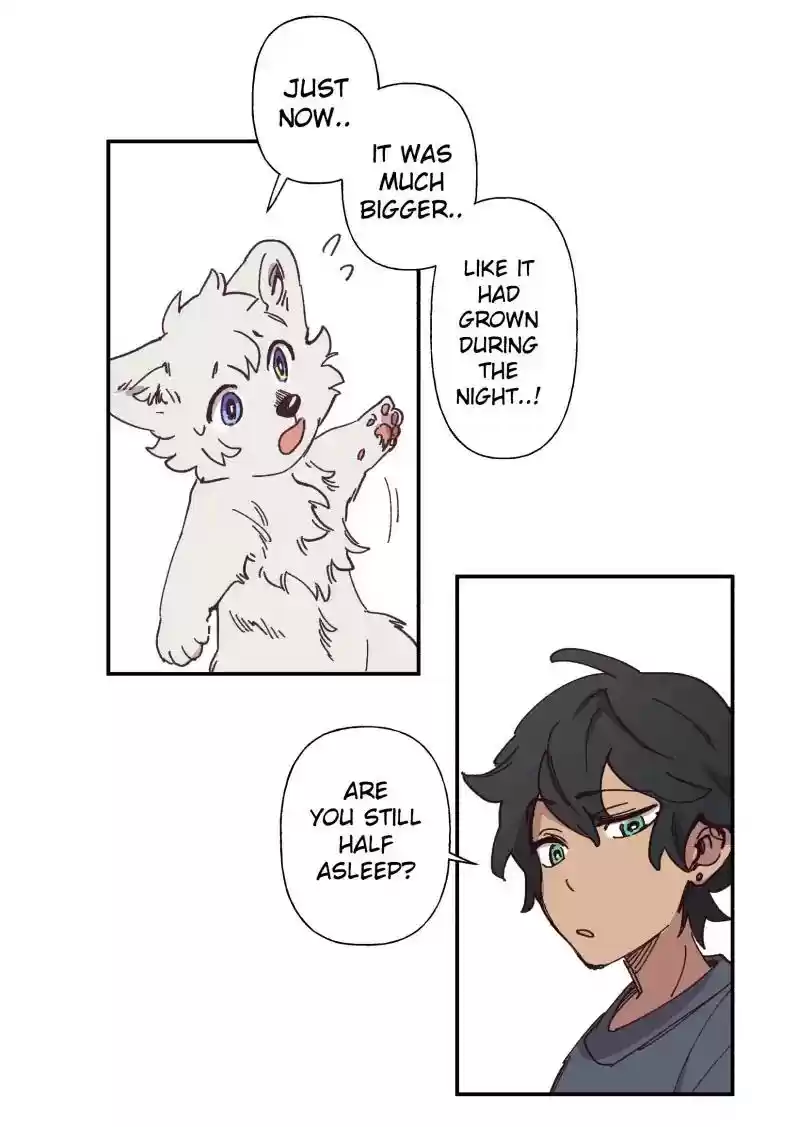 Read LUMINE Manga Online