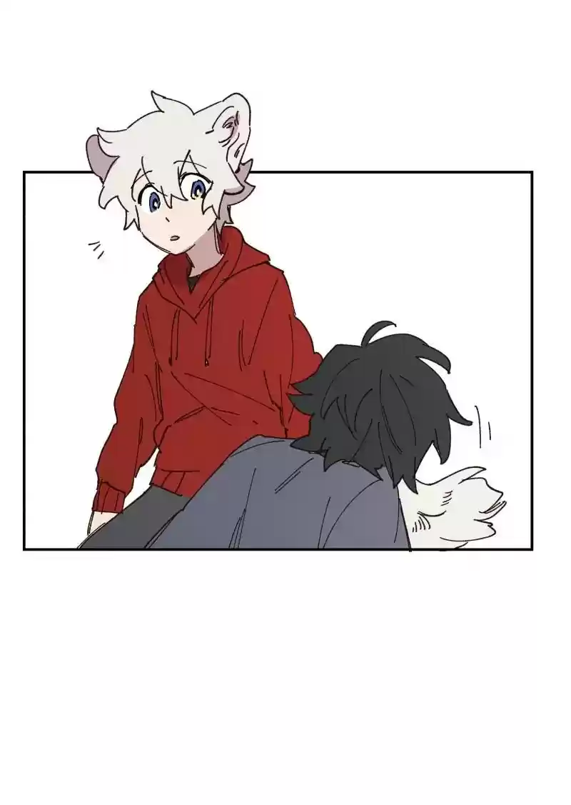 Read LUMINE Manga Online