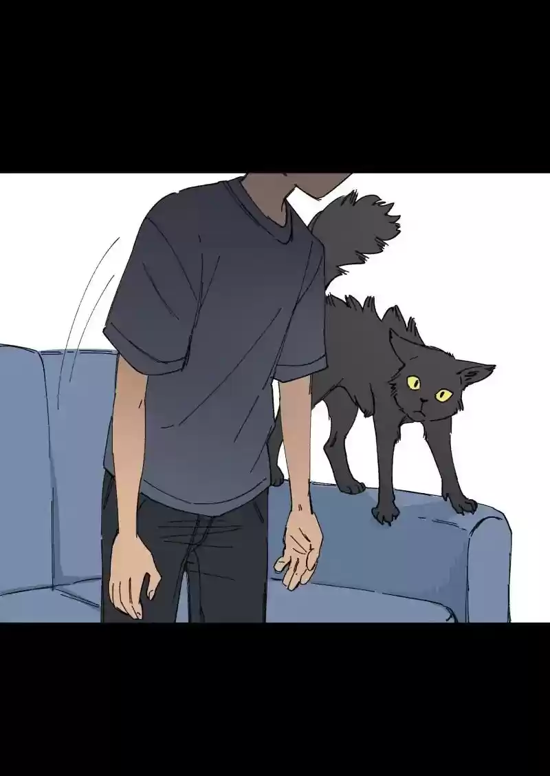 Read LUMINE Manga Online
