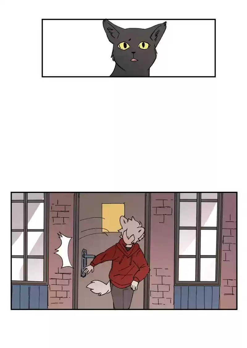 Read LUMINE Manga Online