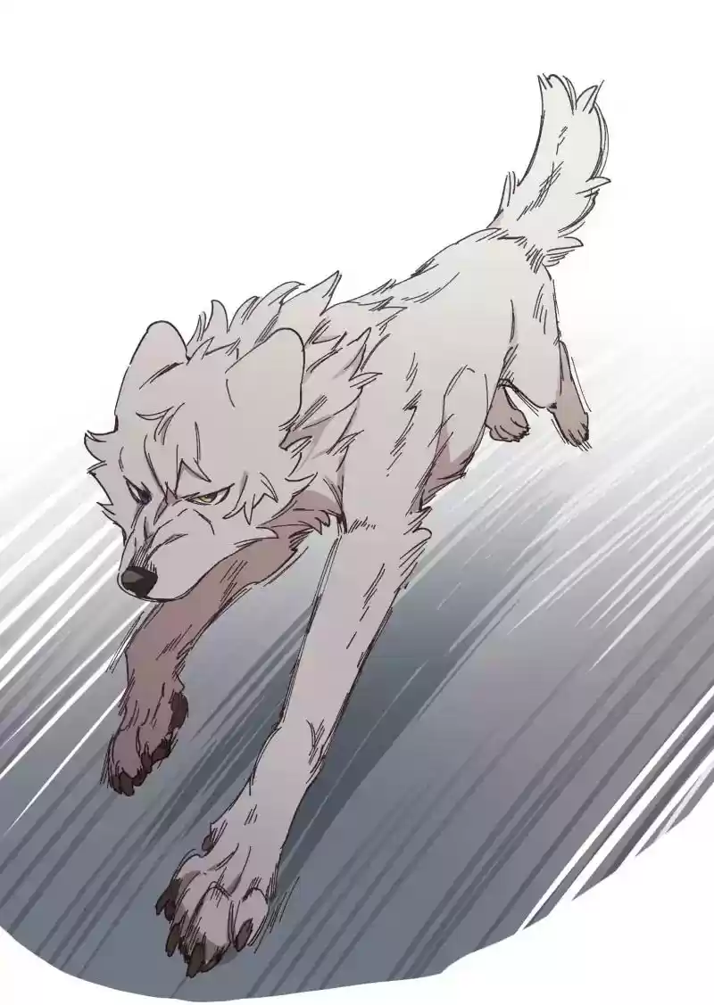 Read LUMINE Manga Online