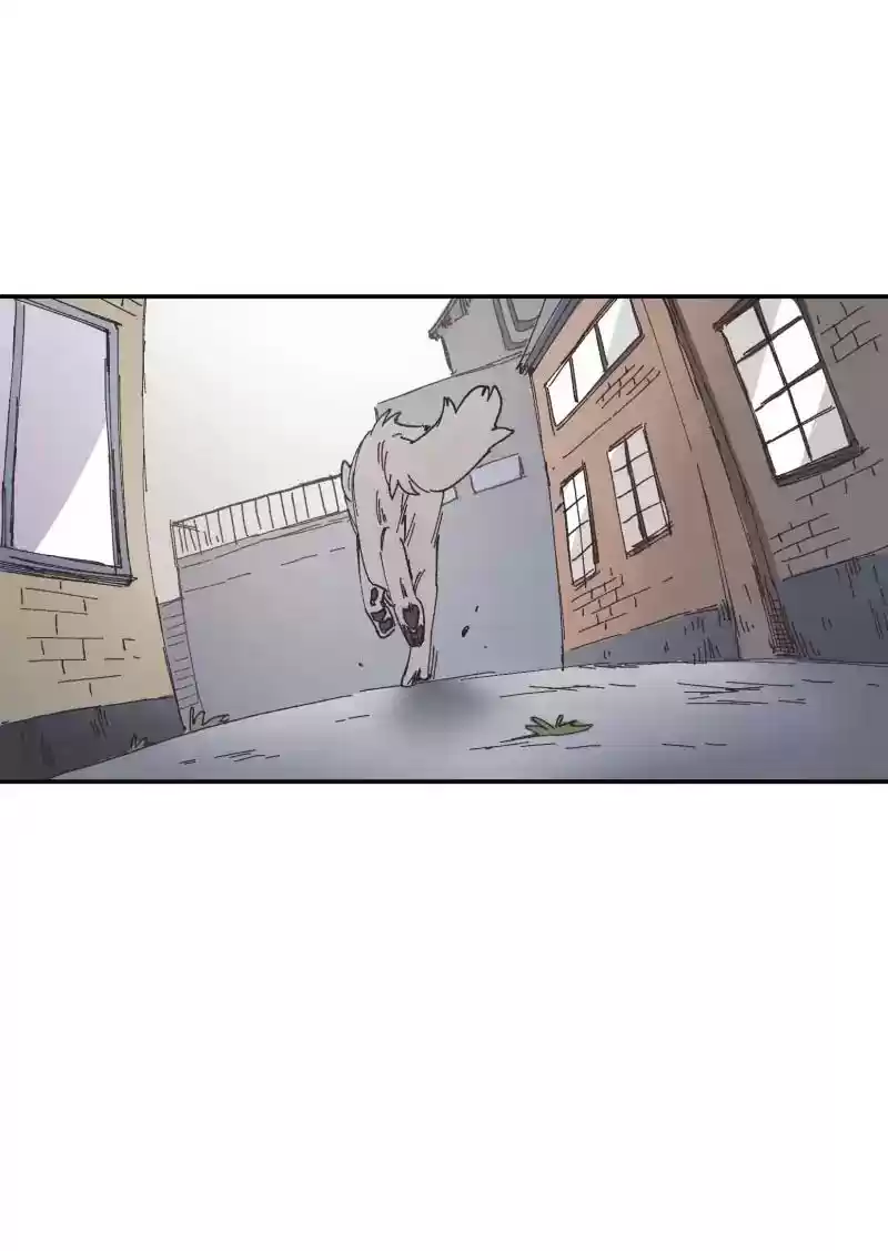 Read LUMINE Manga Online