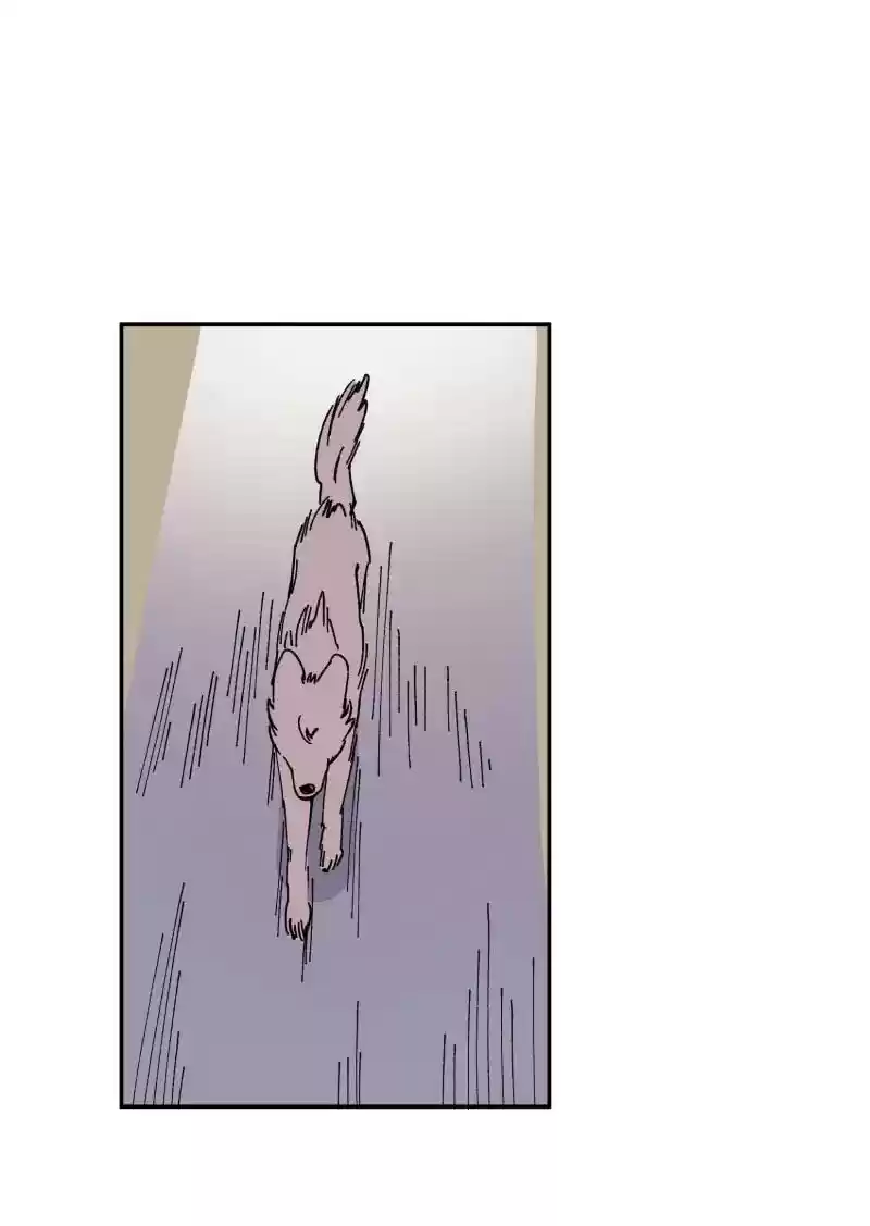 Read LUMINE Manga Online
