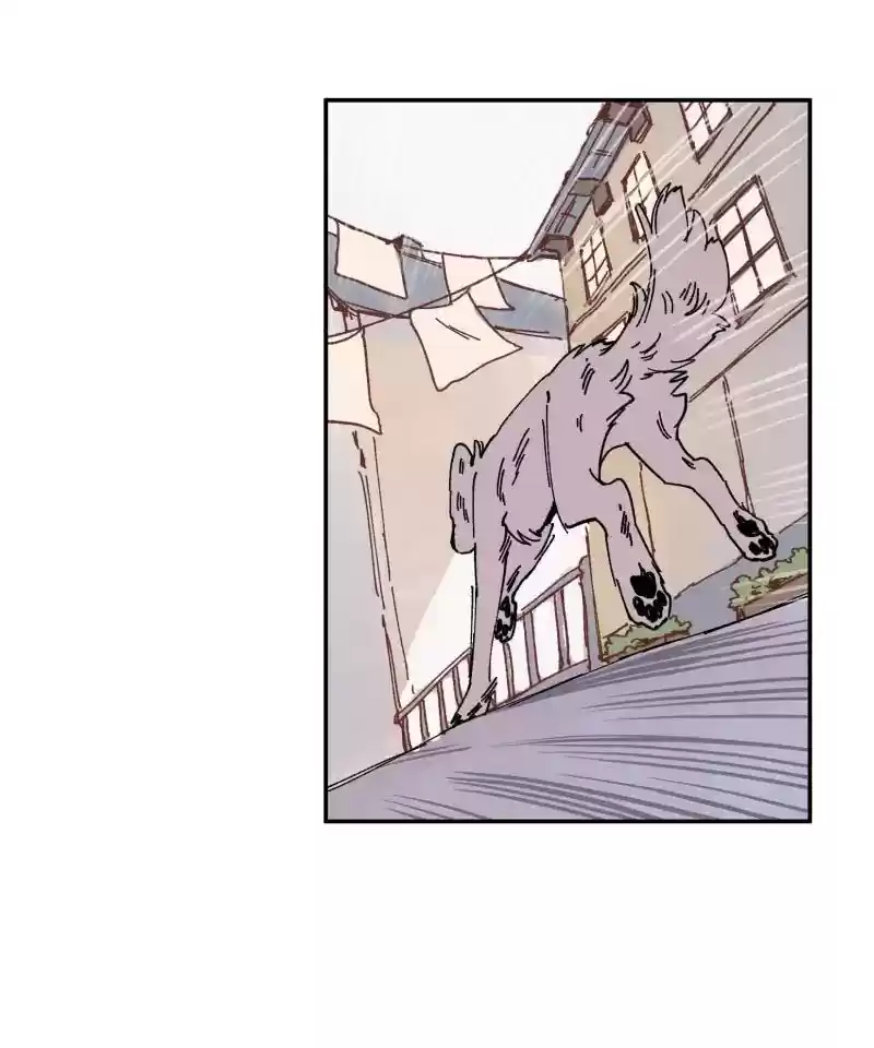 Read LUMINE Manga Online
