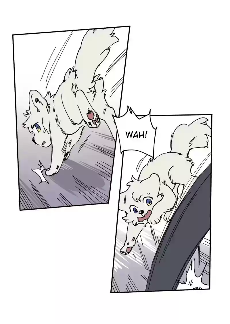 Read LUMINE Manga Online