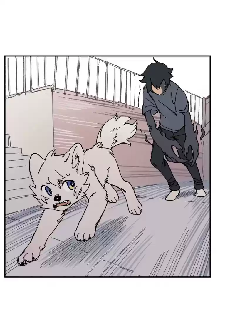 Read LUMINE Manga Online