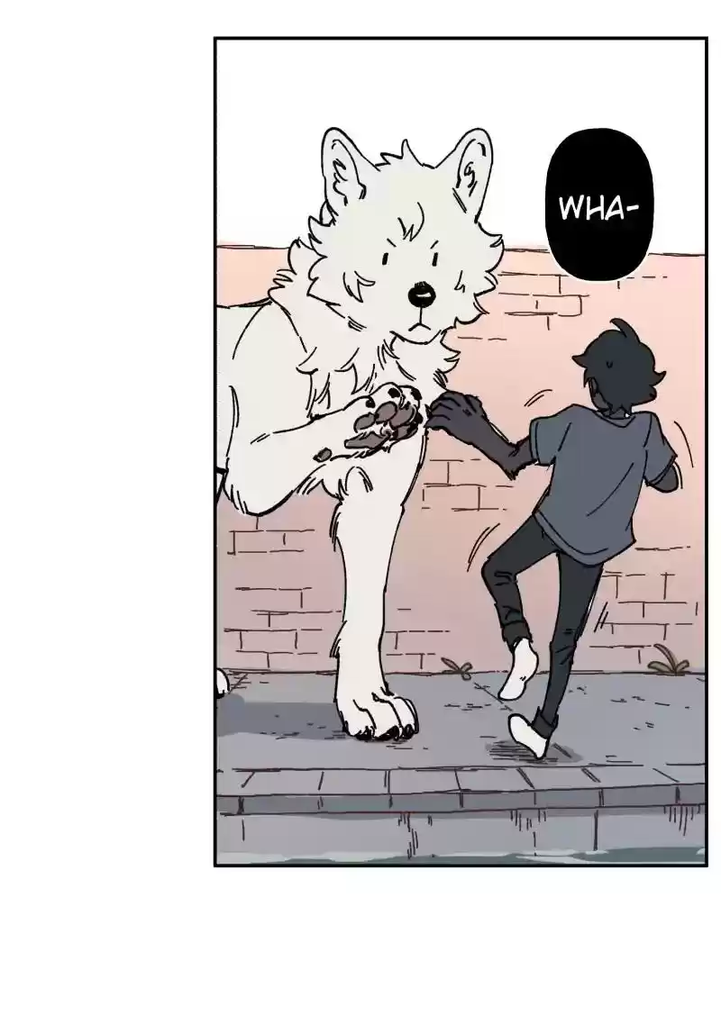 Read LUMINE Manga Online