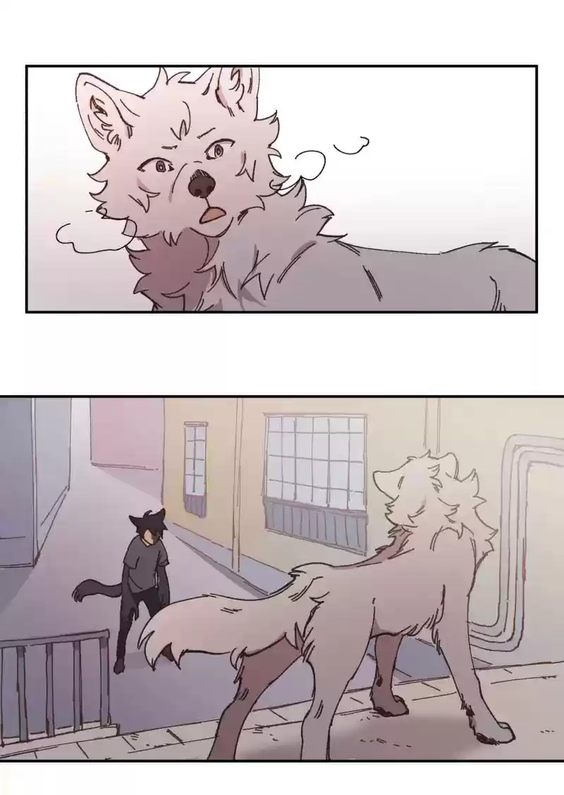Read LUMINE Manga Online