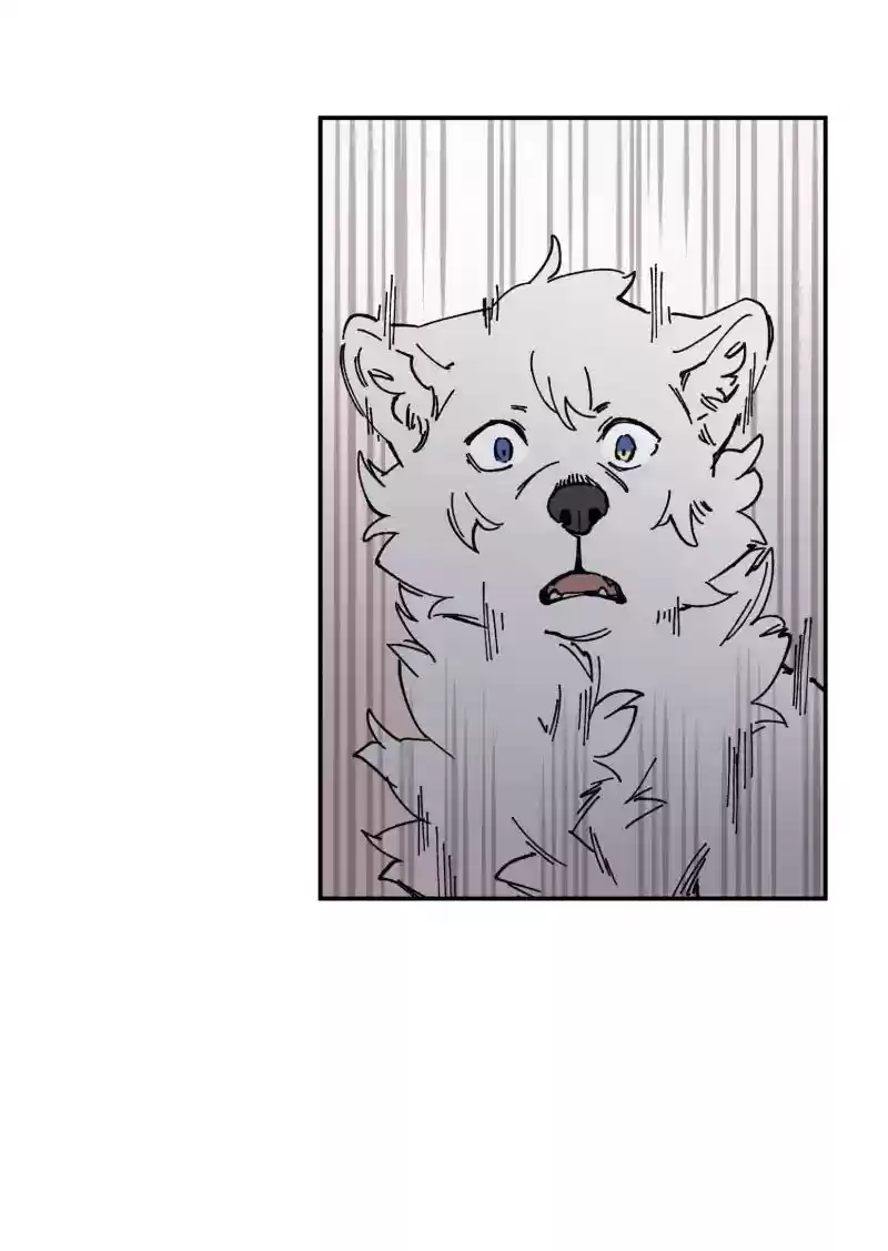 Read LUMINE Manga Online