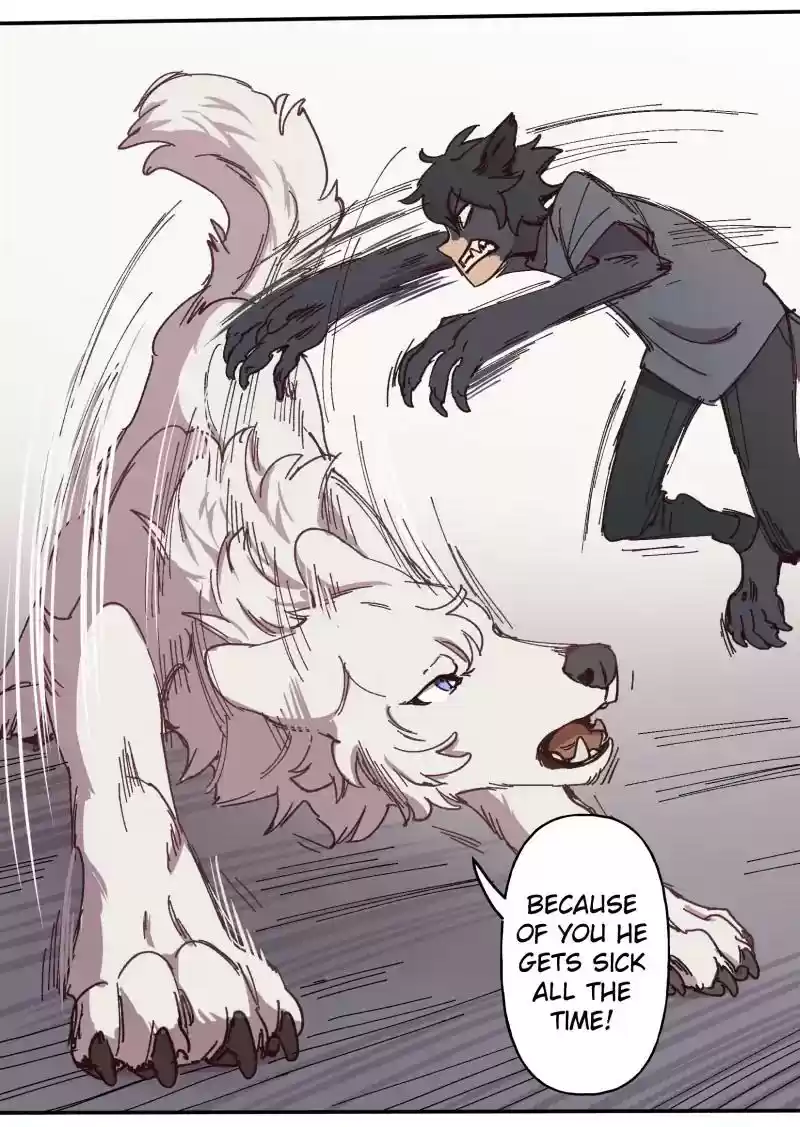 Read LUMINE Manga Online