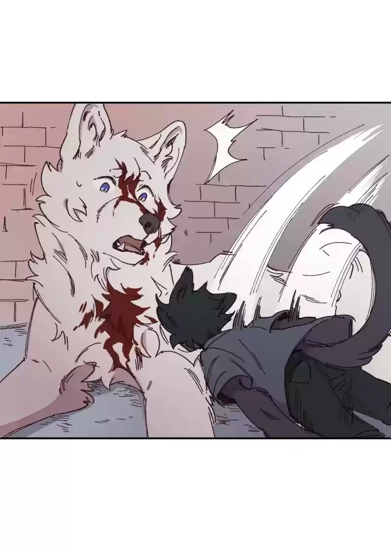 Read LUMINE Manga Online