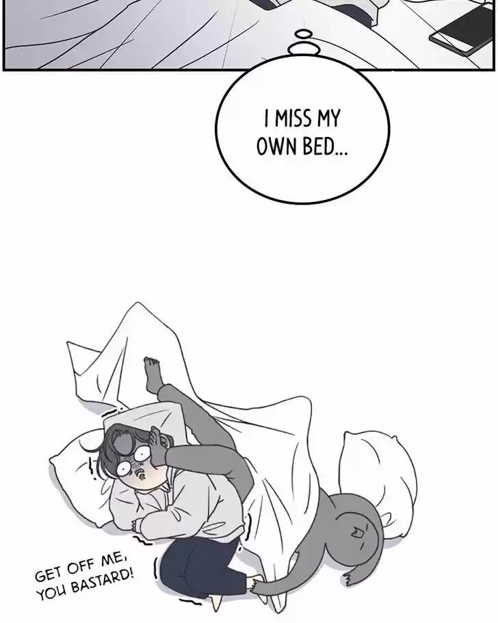 Read Romance 101 Manga Online