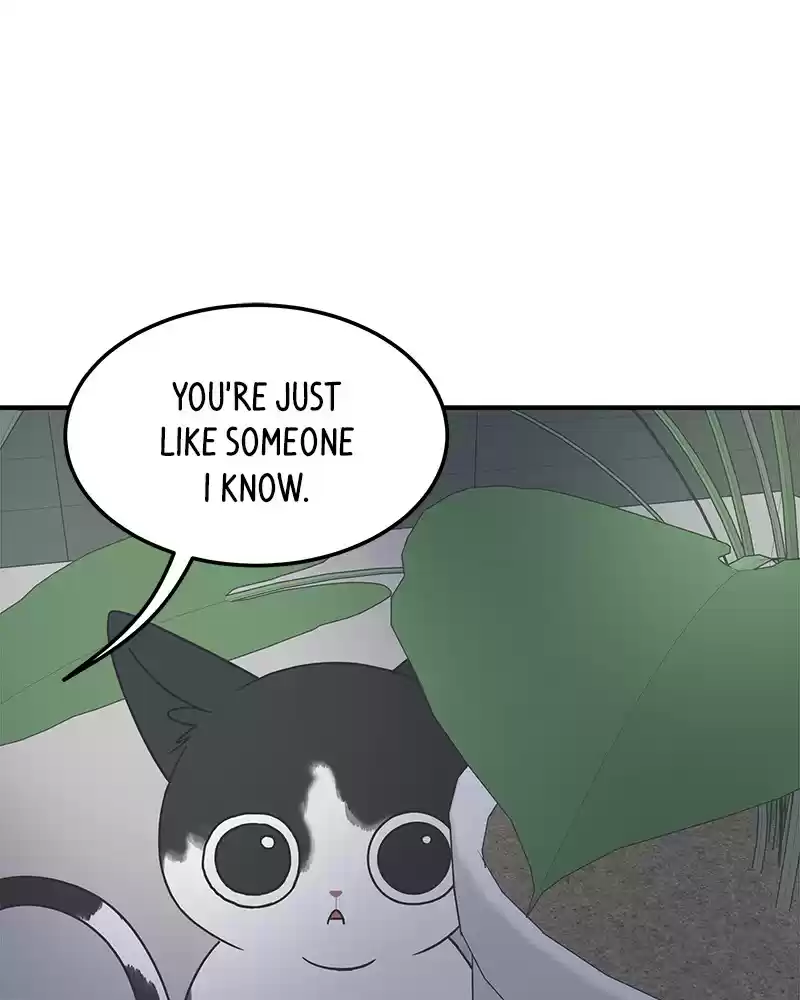 Read Romance 101 Manga Online