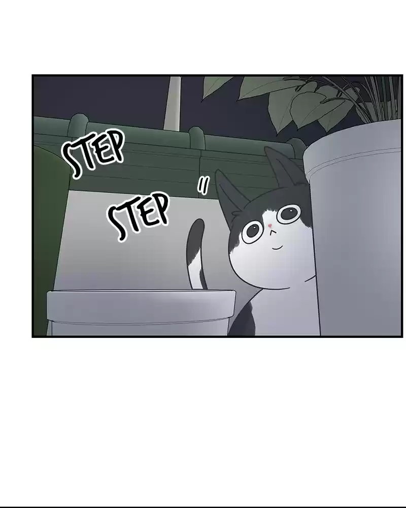 Read Romance 101 Manga Online