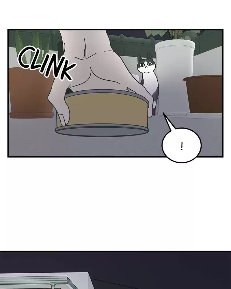 Read Romance 101 Manga Online