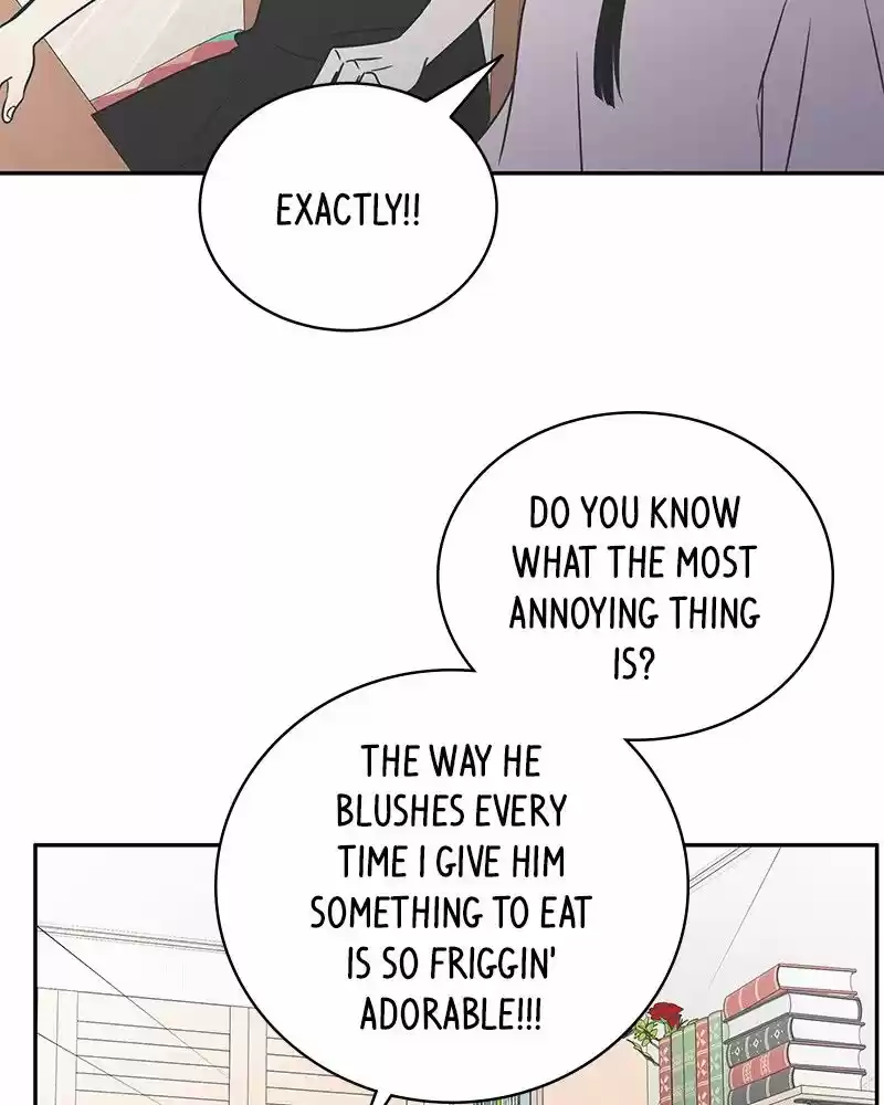 Read Romance 101 Manga Online