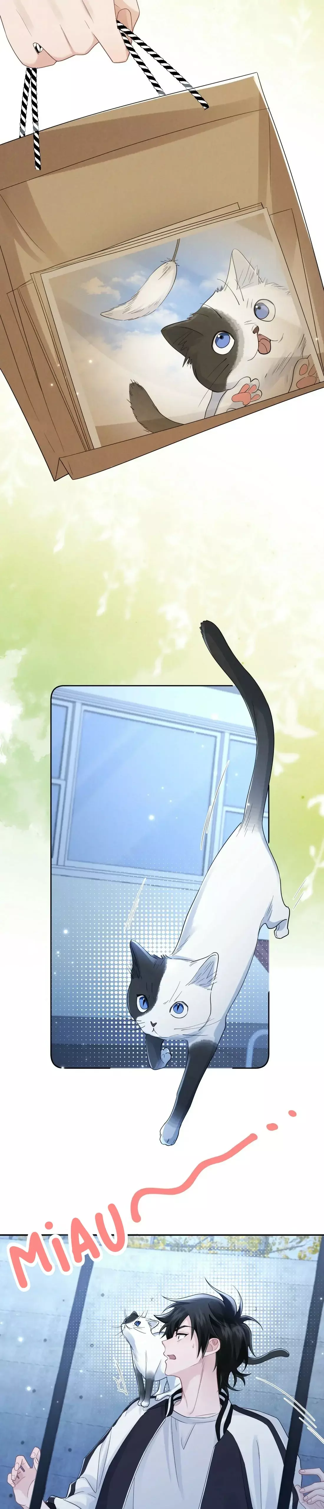 Read Link Click es Manga Online