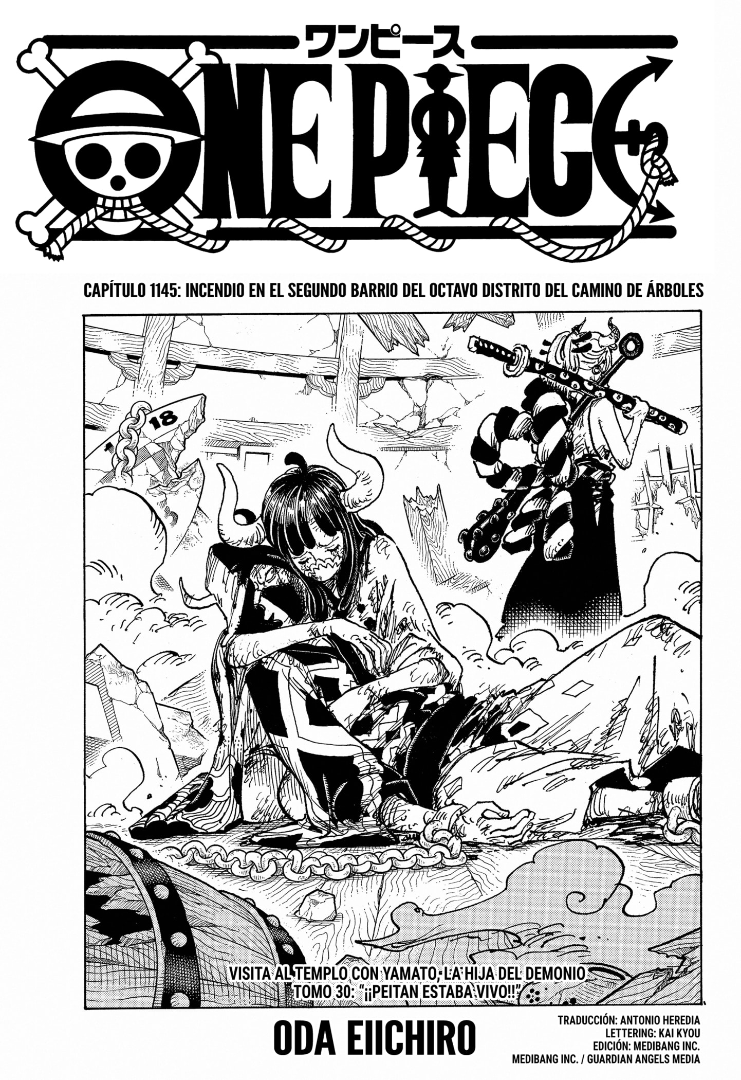 Read One Piece .Es Manga Online