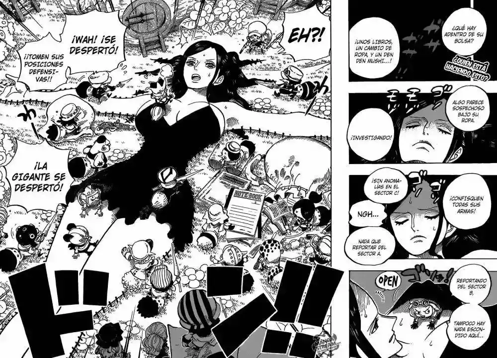 Read One Piece .Es Manga Online